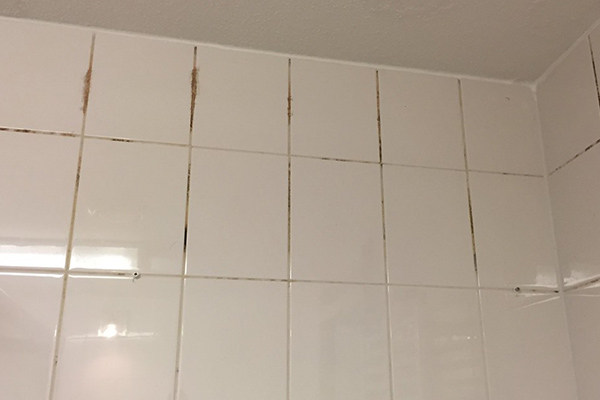 opleveringsschoonmaak